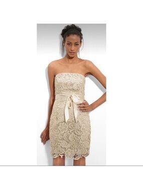 NWT Adrianna Papell Strapless Lace Dress Champagne
